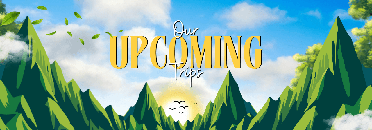 Upcoming Trips